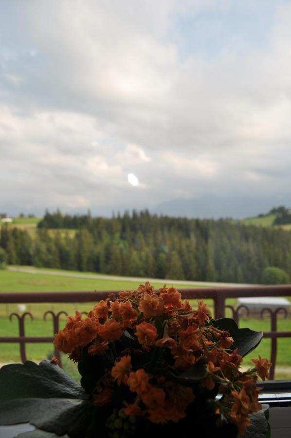 Pokoje U Marysi Leśnica Buitenkant foto